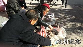 桶哥在线吃瓜,揭秘娱乐圈幕后风云  第1张